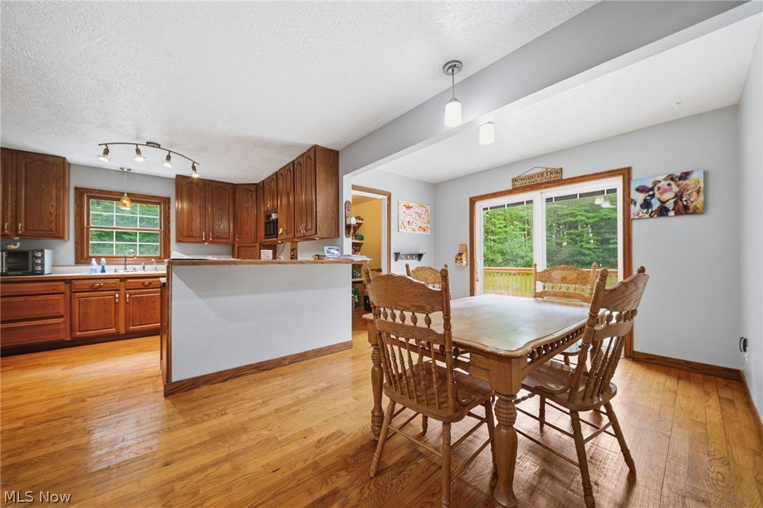 1808 Mini Ranch Trail Geneva OH 44041
