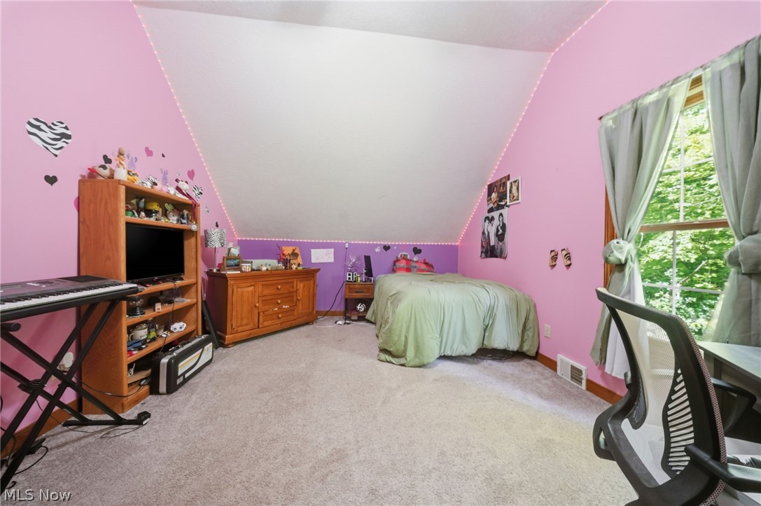 1808 Mini Ranch Trail Geneva OH 44041