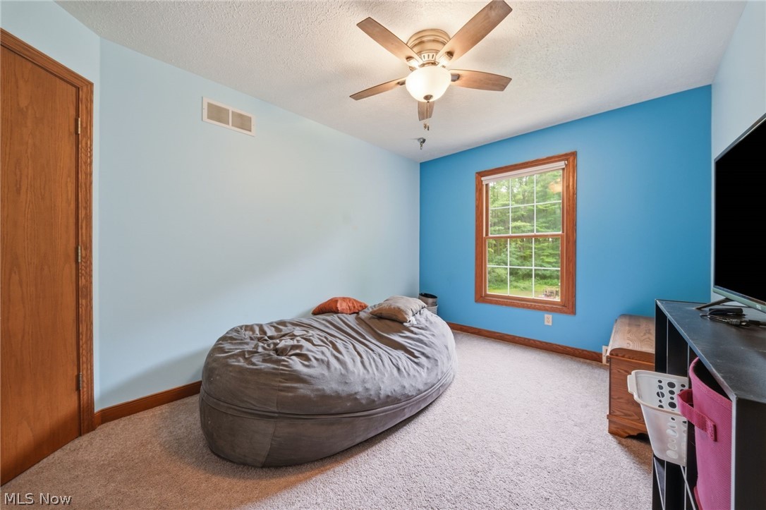 1808 Mini Ranch Trail Geneva OH 44041