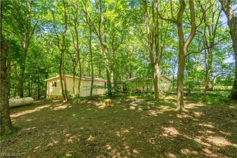 121 Skeleton Road NW Dellroy OH 44620