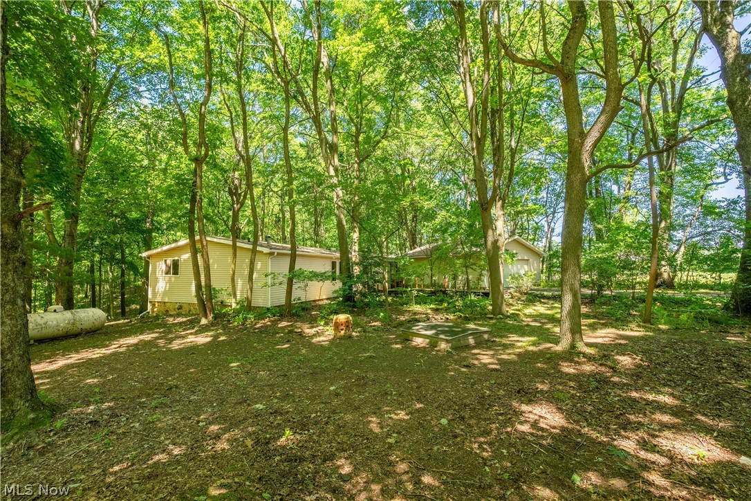 121 Skeleton Road NW Dellroy OH 44620