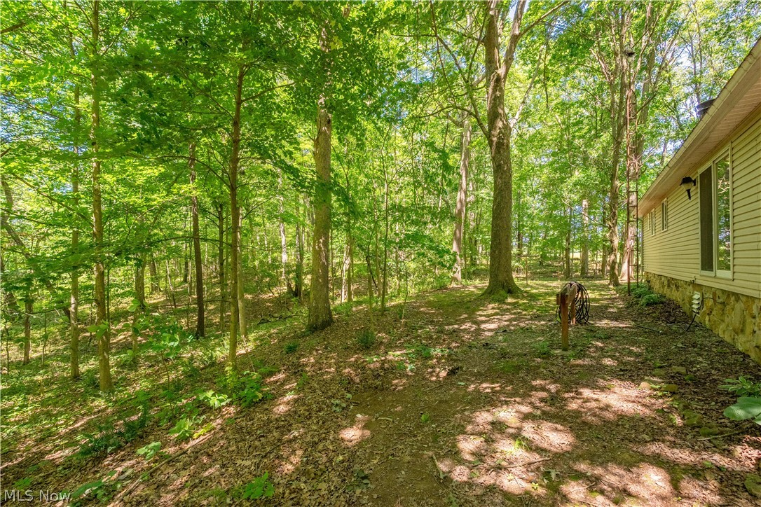 121 Skeleton Road NW Dellroy OH 44620