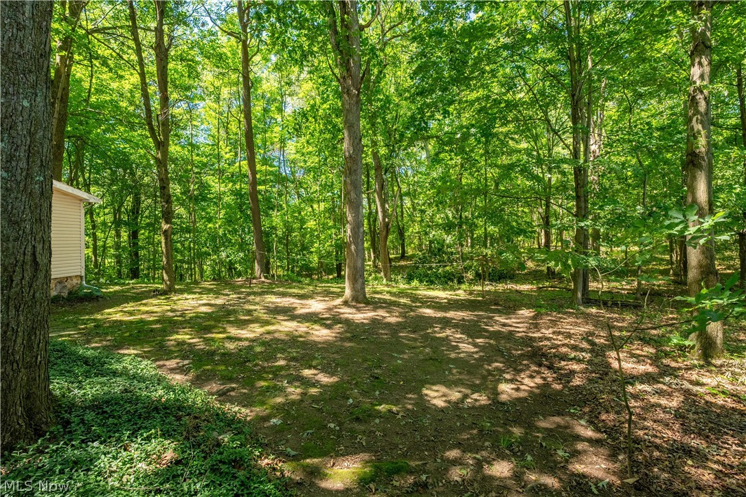 121 Skeleton Road NW Dellroy OH 44620