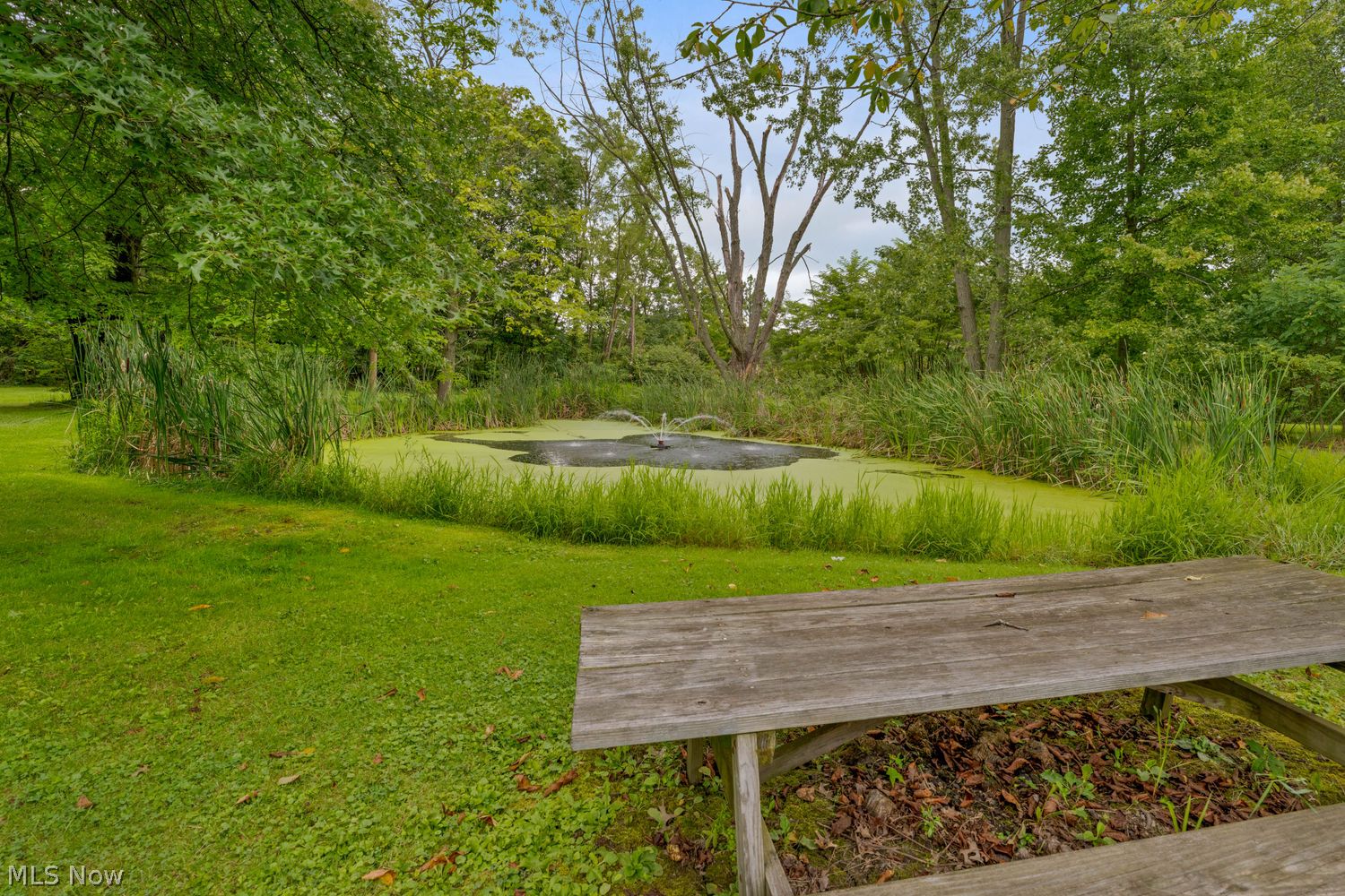 4857 Ridge Road Cortland OH 44410