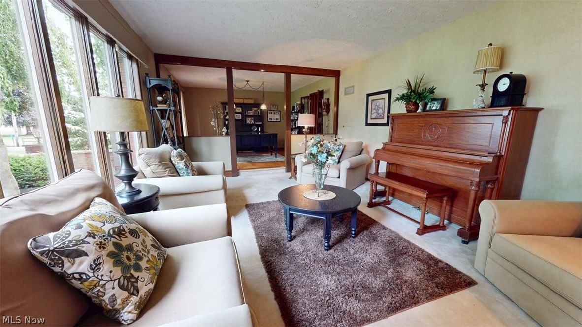 3985 Wiers Road Willard OH 44890