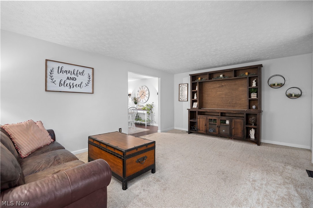 228 Forest Street Wellington OH 44090