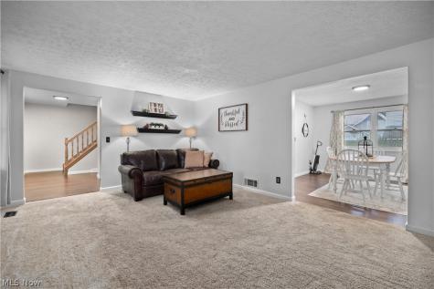 228 Forest Street Wellington OH 44090