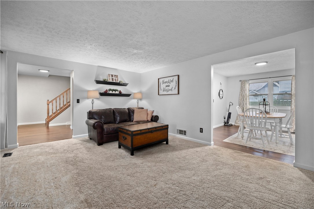 228 Forest Street Wellington OH 44090