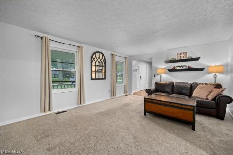 228 Forest Street Wellington OH 44090