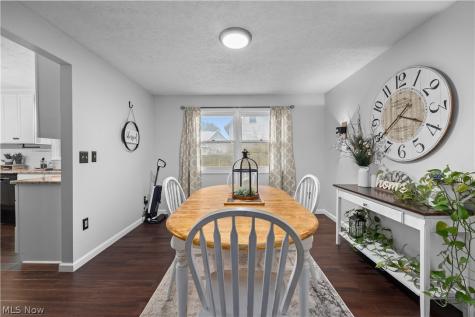 228 Forest Street Wellington OH 44090
