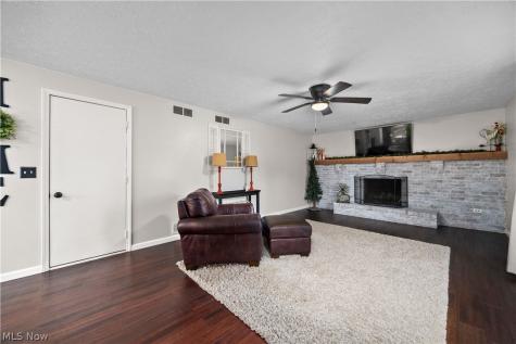 228 Forest Street Wellington OH 44090