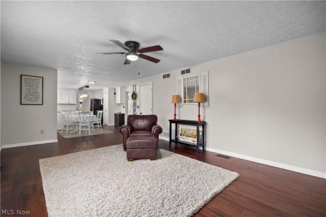 228 Forest Street Wellington OH 44090