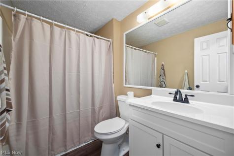 228 Forest Street Wellington OH 44090