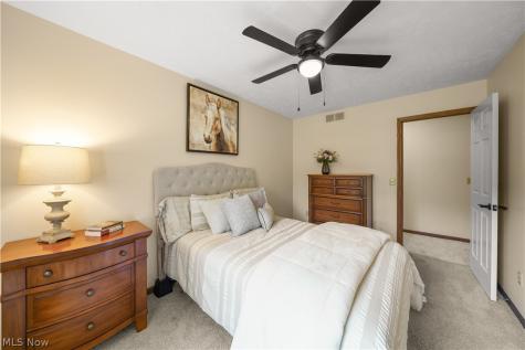 698 Deep Woods Drive Aurora OH 44202