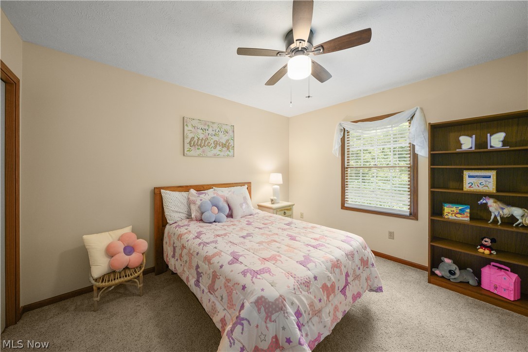 698 Deep Woods Drive Aurora OH 44202