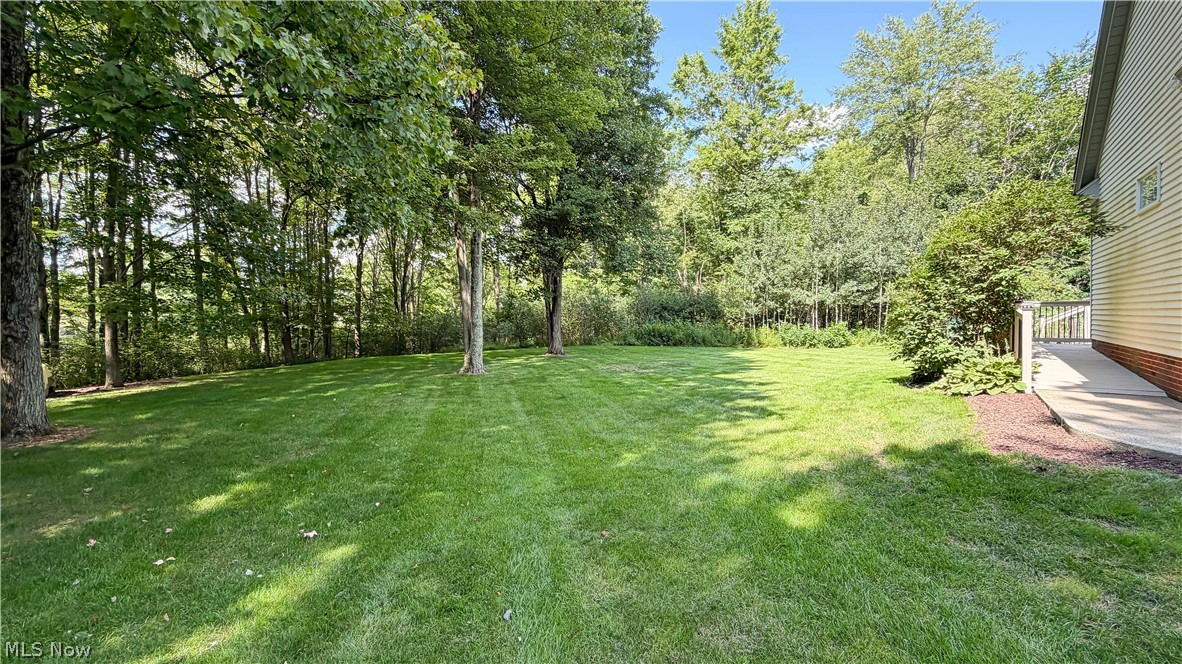698 Deep Woods Drive Aurora OH 44202