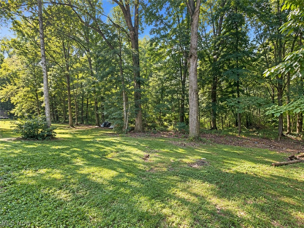 9900 Pebble Beach Cove Aurora OH 44202