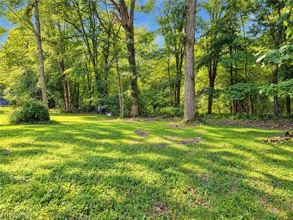 9900 Pebble Beach Cove Aurora OH 44202