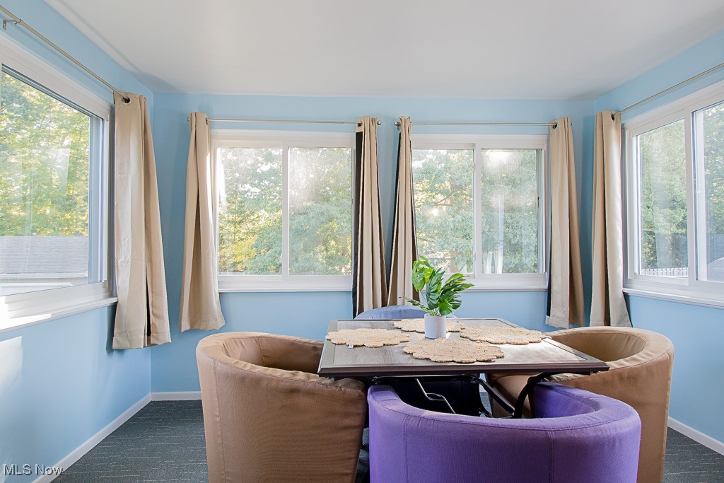 503 E Overlook Drive Eastlake OH 44095