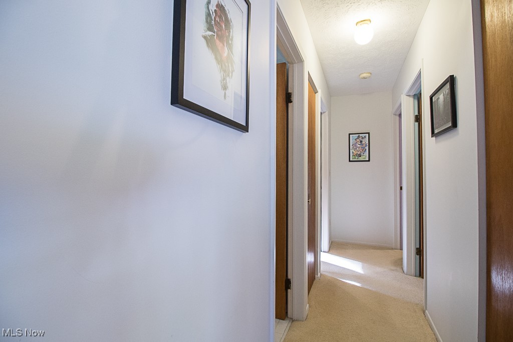 503 E Overlook Drive Eastlake OH 44095