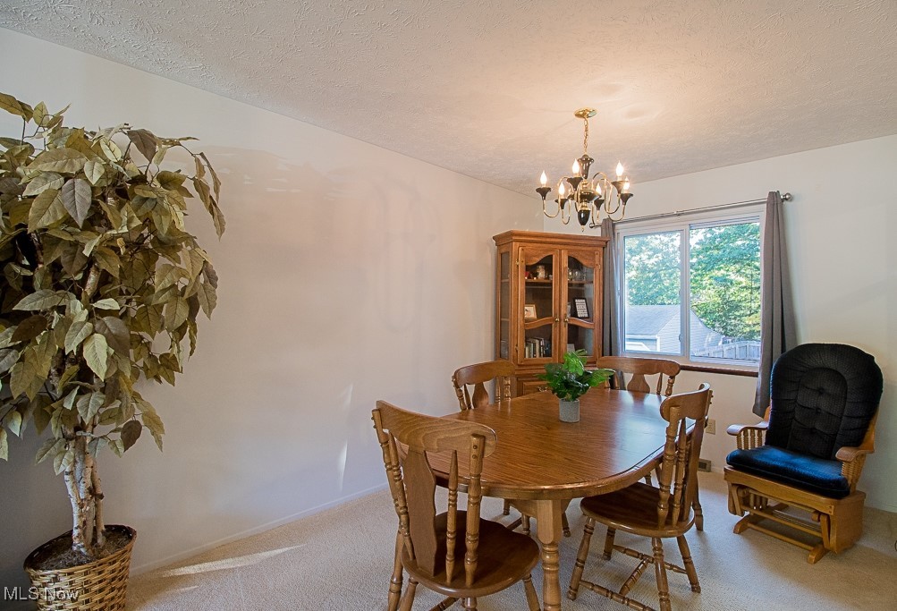 503 E Overlook Drive Eastlake OH 44095