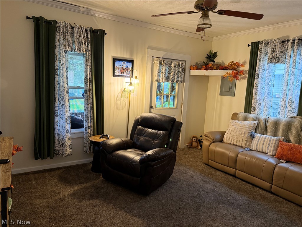 115 S. Market Street Girard OH 44420