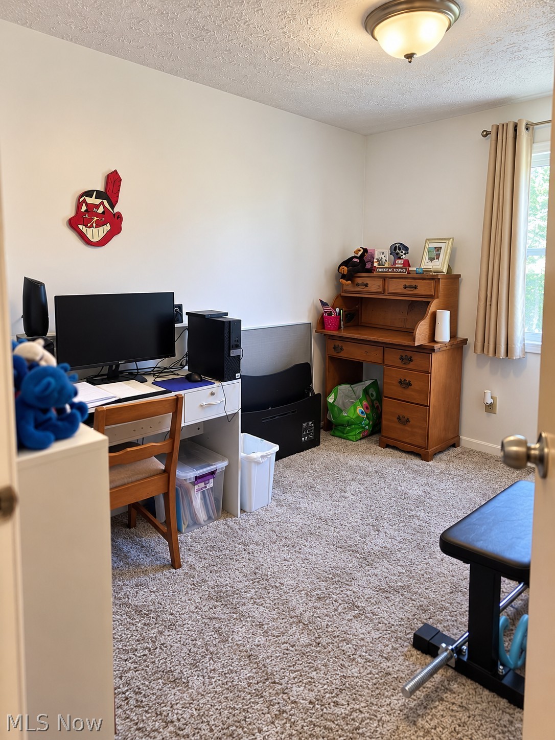 201 Greenbriar Drive Cortland OH 44410