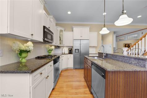 32041 Kossuth Drive Avon Lake OH 44012