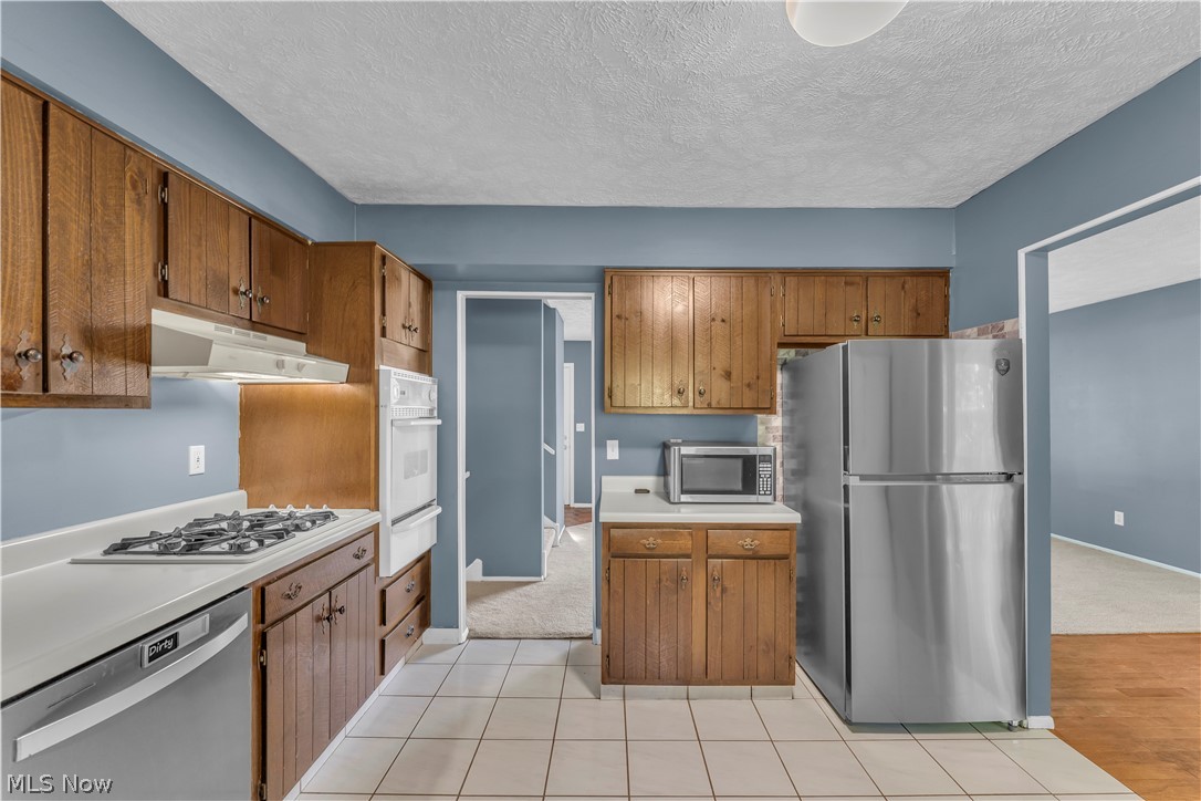6033 Harrison Street Mentor OH 44060