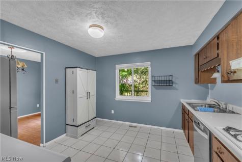 6033 Harrison Street Mentor OH 44060