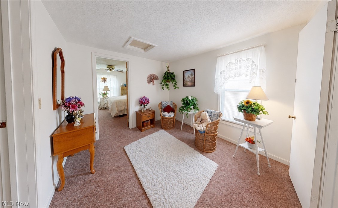 596 Mill Street Conneaut OH 44030