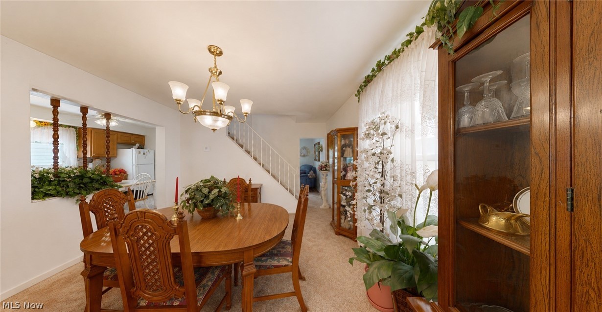 596 Mill Street Conneaut OH 44030