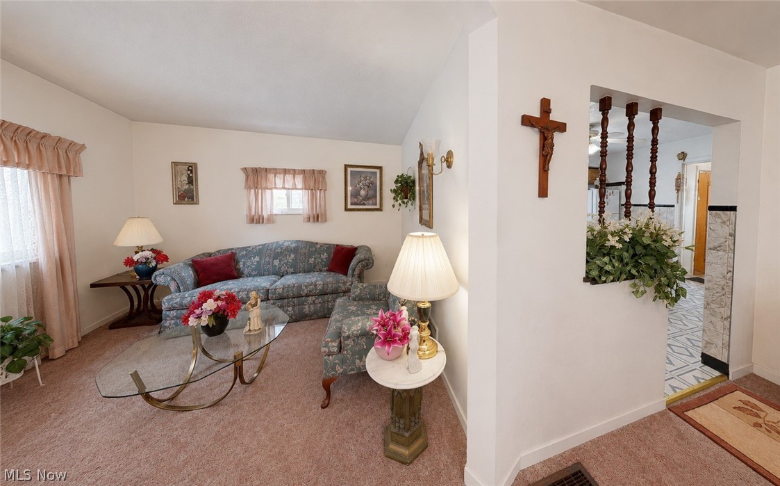 596 Mill Street Conneaut OH 44030