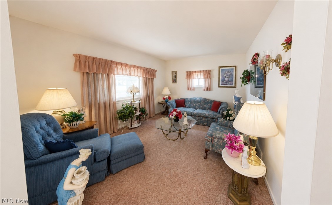 596 Mill Street Conneaut OH 44030
