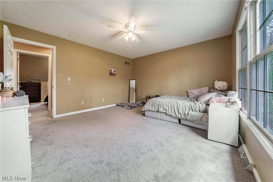 8233 Whispering Pines Drive Novelty OH 44072
