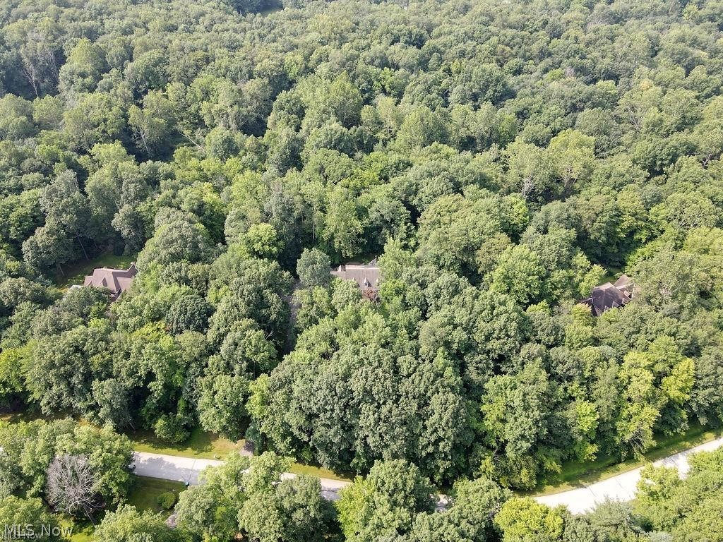 8233 Whispering Pines Drive Novelty OH 44072