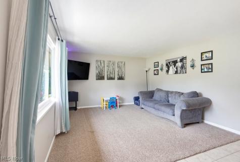 1342 Roseland Drive Macedonia OH 44056