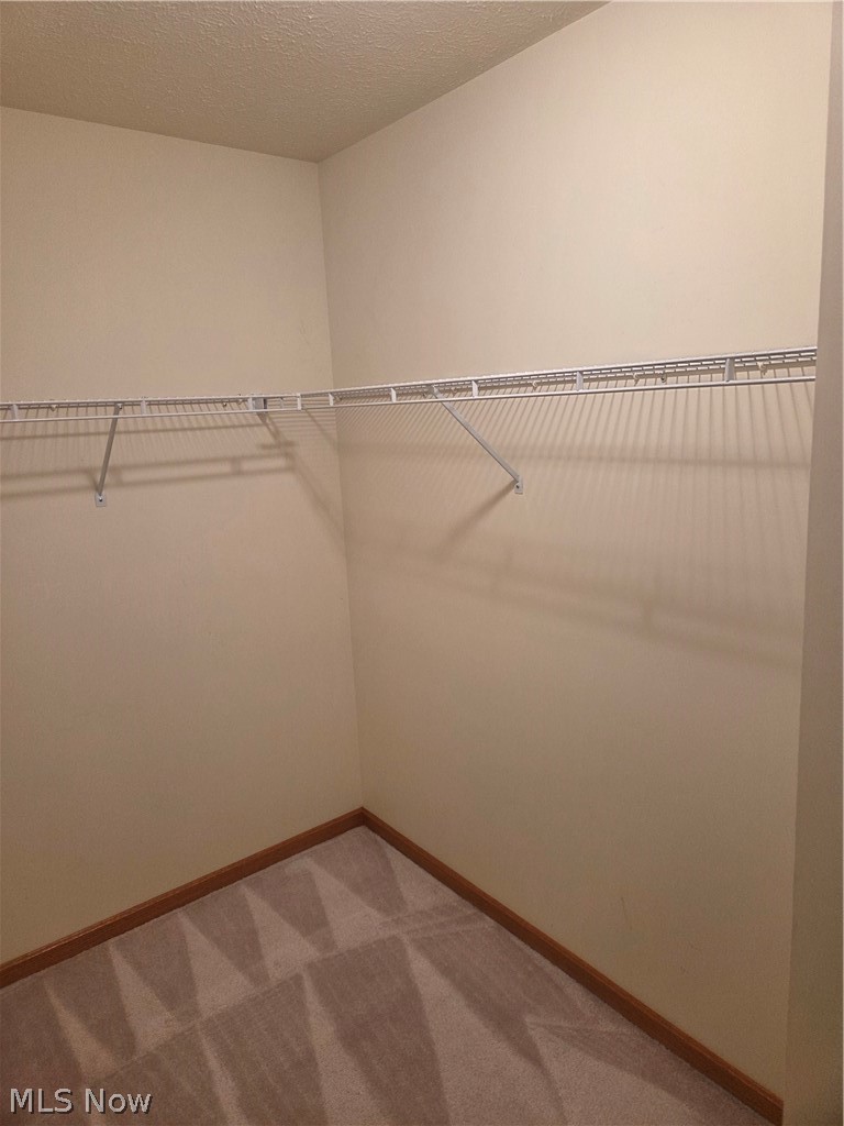 220 Montgomery Drive Canfield OH 44406