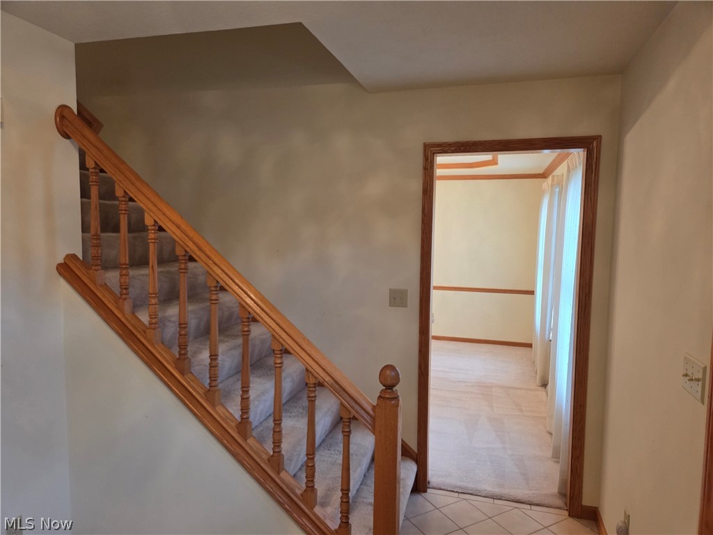220 Montgomery Drive Canfield OH 44406