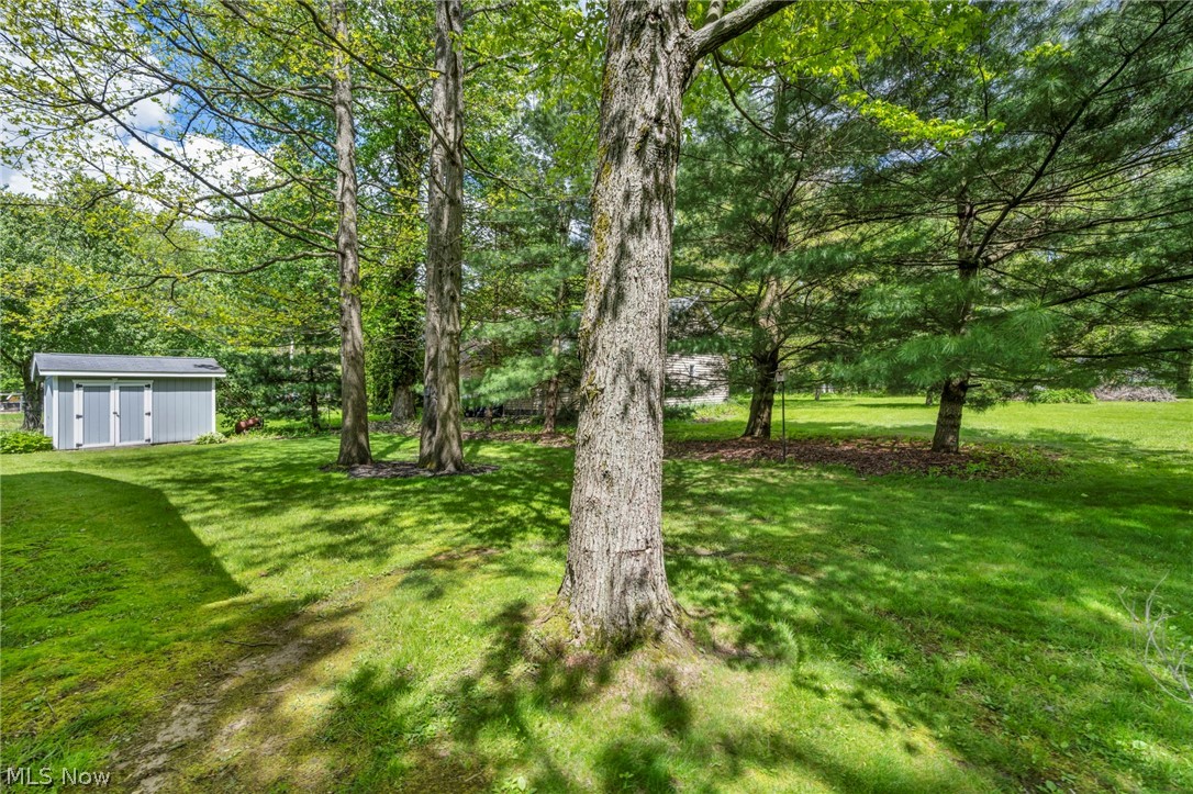513 Russell Street Newton Falls OH 44444