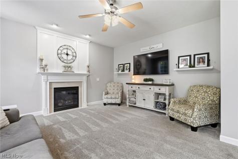 32110 Cozy Meadow Court North Ridgeville OH 44039