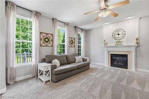 32110 Cozy Meadow Court North Ridgeville OH 44039