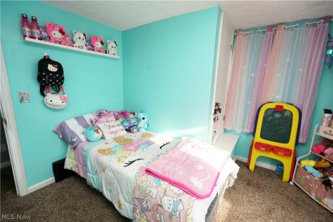 167 Brandtson Avenue Elyria OH 44035