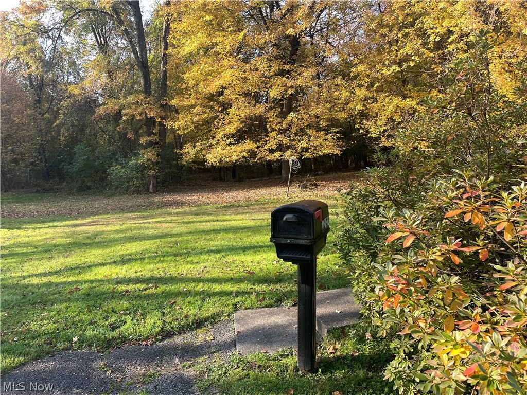 1292 Salt Springs Road Niles OH 44440