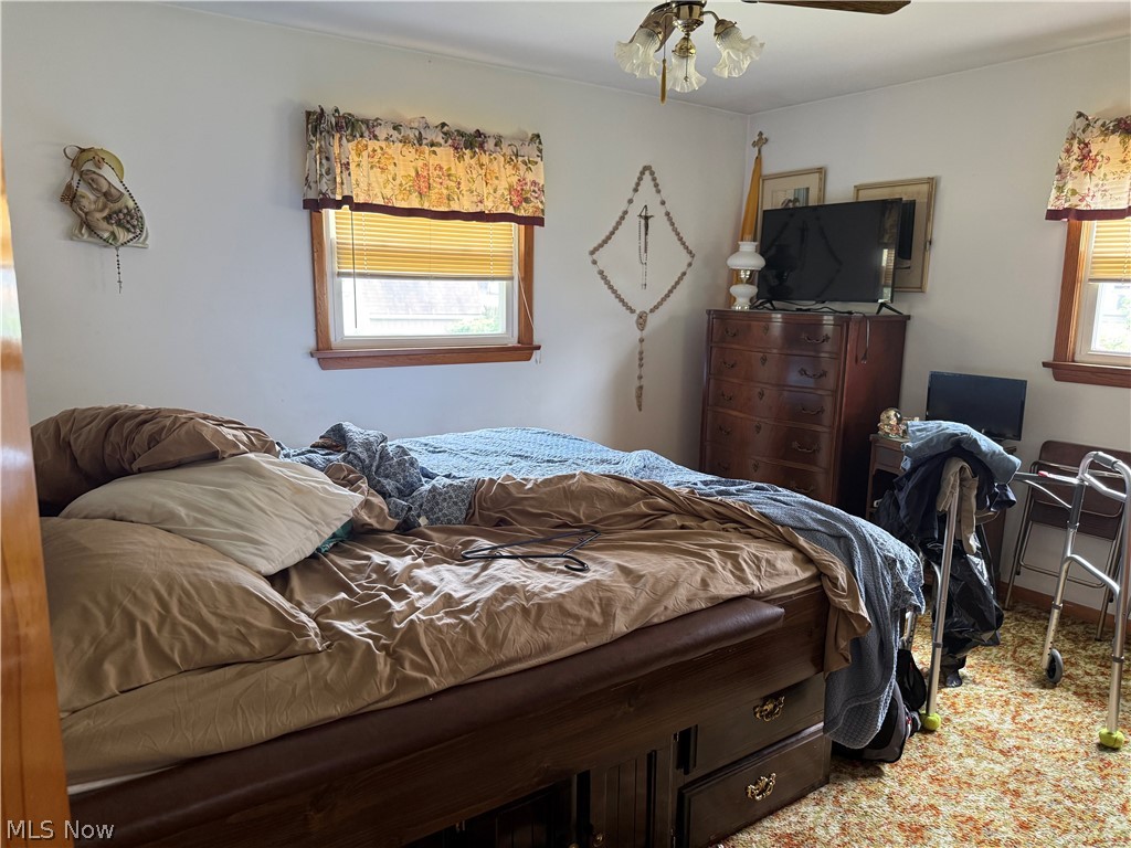 578 Sandusky Street Conneaut OH 44030