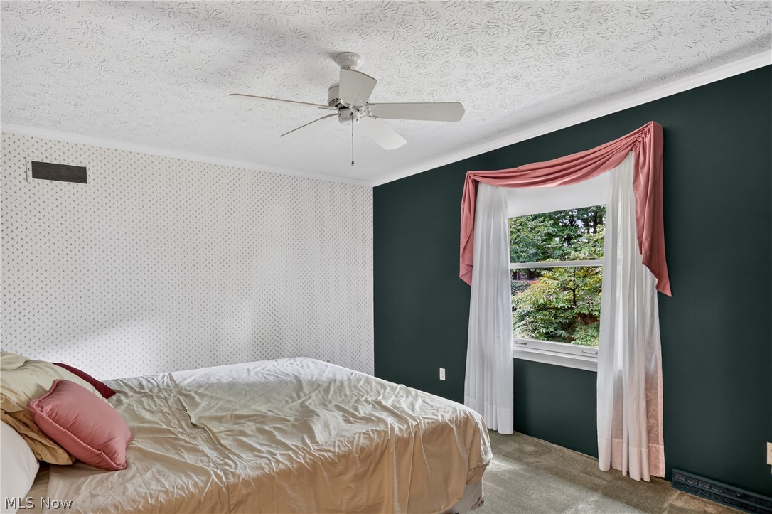 134 Quail Hollow Circle SE Howland OH 44484