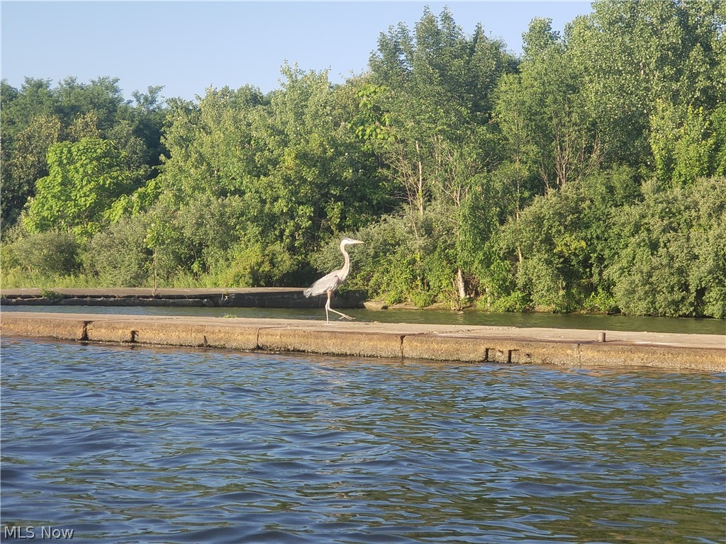 176 Rockridge Road Chippewa Lake OH 44215