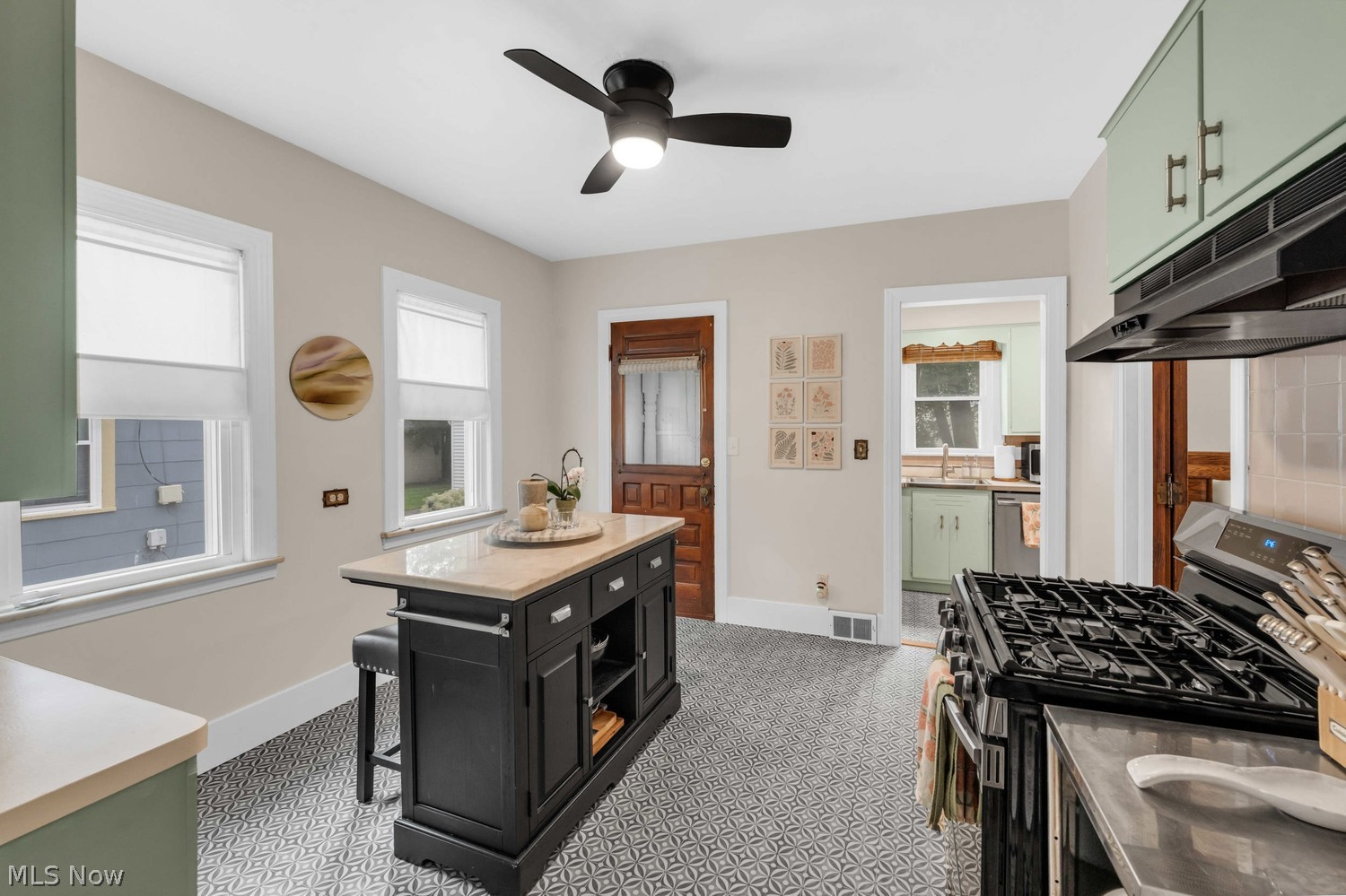 1469 Spring Garden Avenue Lakewood OH 44107