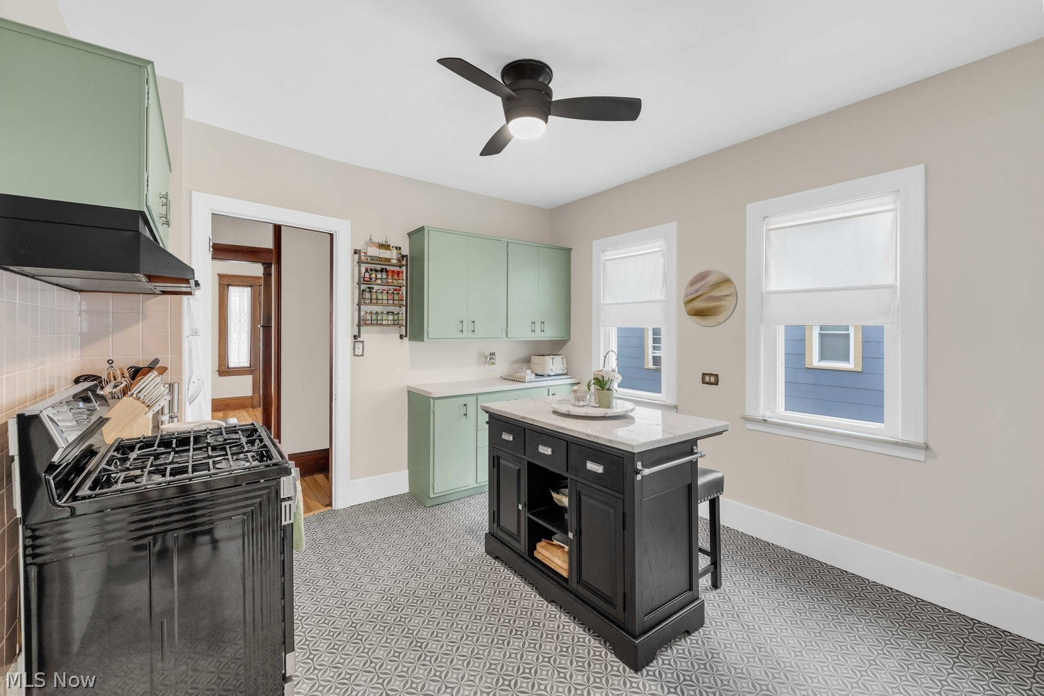 1469 Spring Garden Avenue Lakewood OH 44107