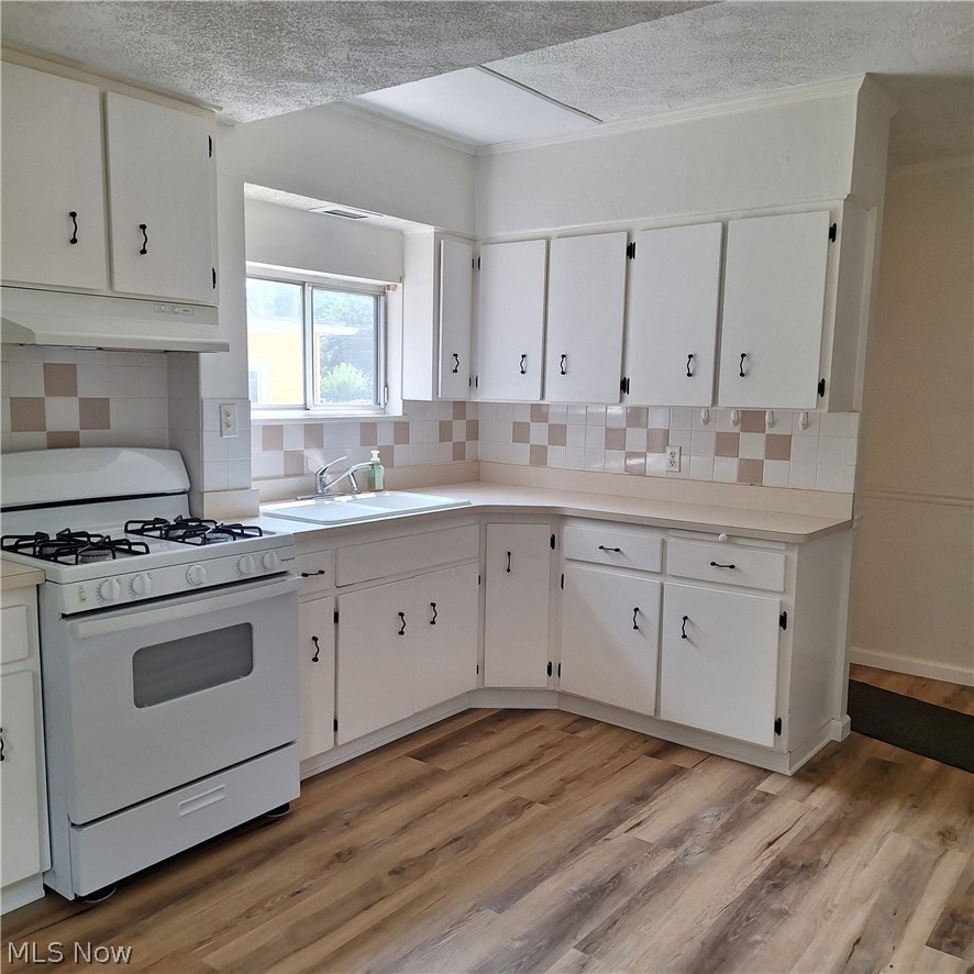 187 Gillett Street Painesville OH 44077